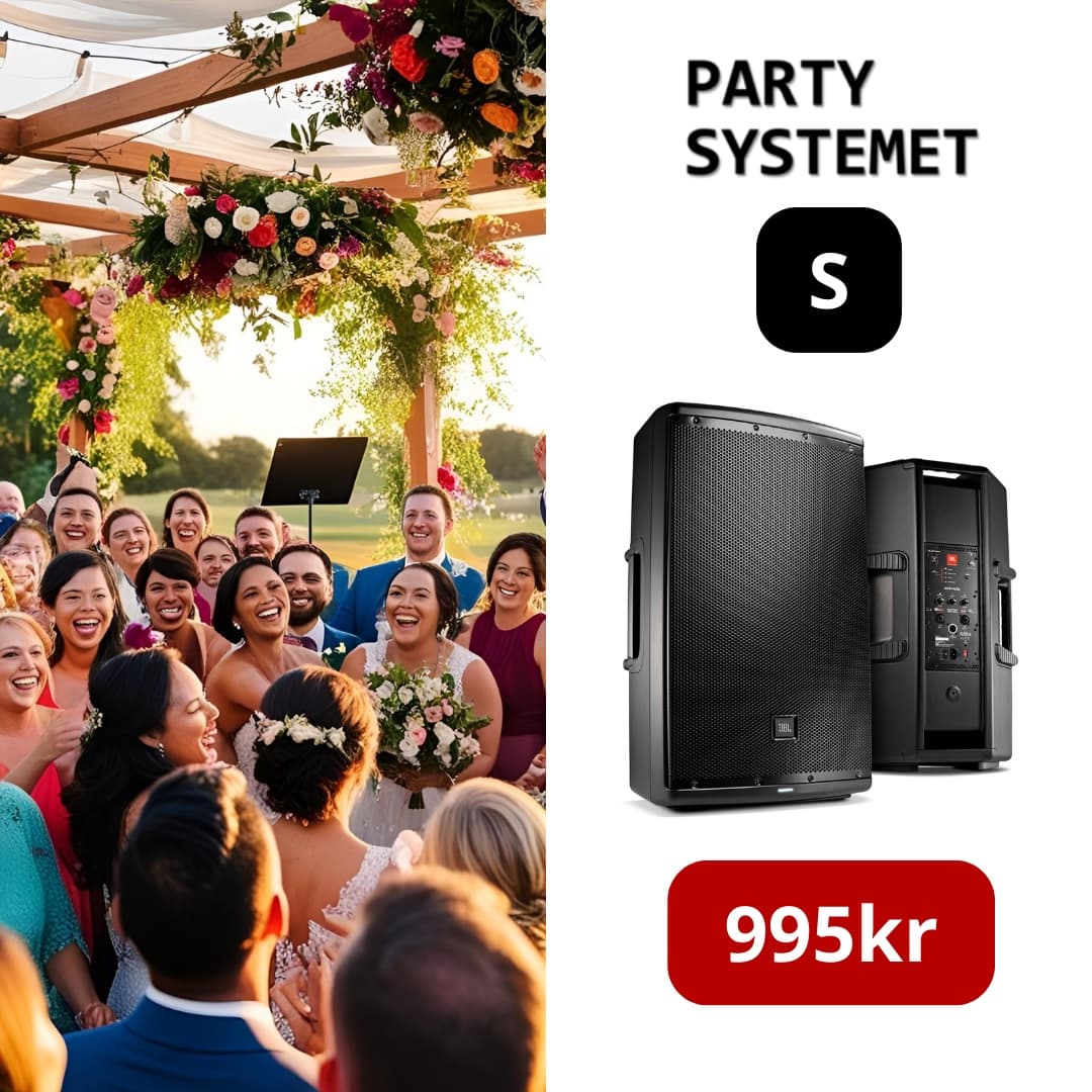 Partysystemet S
